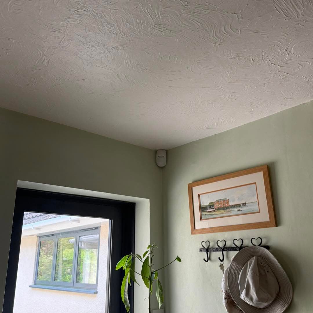 Residential alarm detector installed in a living space